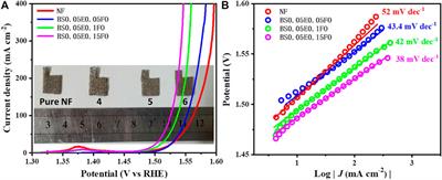 Sm-Eu Co-Doped BiFeO3 Nanoparticles With Superabsorption and Electrochemical Oxygen Evolution Reaction